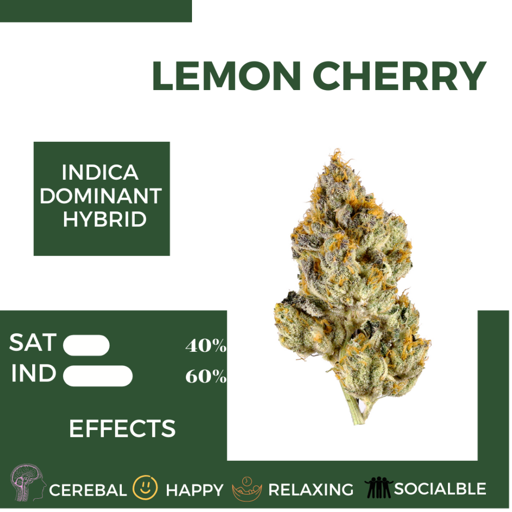 LEMON CHERRY