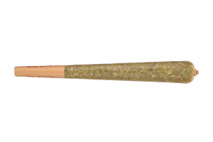 Preroll - Gelato Runtz
