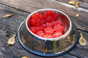 ไอศกรีมแตงโม