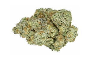 Mac1