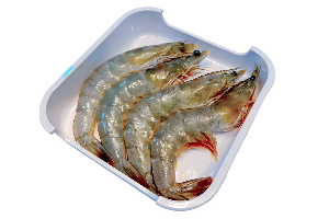 กุ้งสด