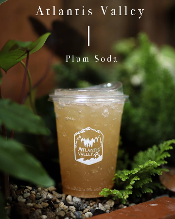 Plum Soda