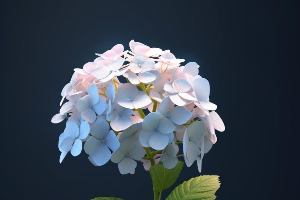 ข้าวผัดไข่ แต่ไม่มีไข่