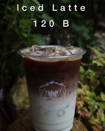 Iced Latte 