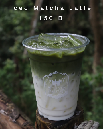 Iced Matcha Latte