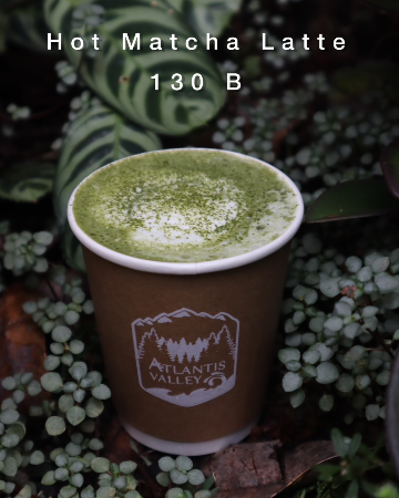 Hot Matcha latte