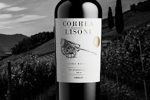 CORREA LISONI familia MERLOT 2023