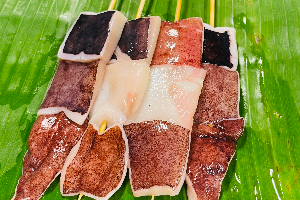 ปีกหมึก