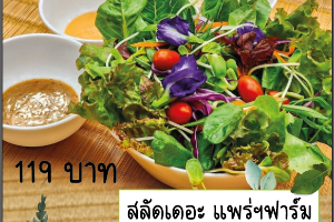 สลัดเดอะ แพร่ฯฟาร์ม