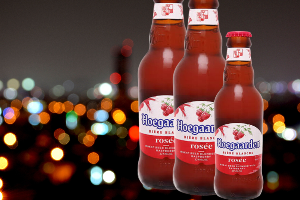 HOEGAAR DEN ROSE'