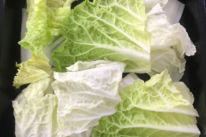 ผักกาดขาว / Chinese Cabbage