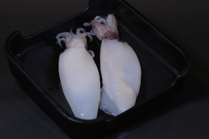 ปลาหมึก / Squid