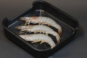 กุ้ง / Shrimp
