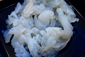 แมงกะพรุน / Jelly Fish