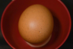 ไข่ไก่ / Egg