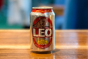 LEO