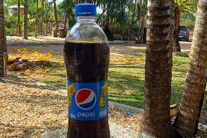 น้ำอัดลม (ขวดเล็ก)