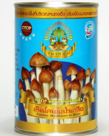 Termite Mushroom in Brine 300g x 1