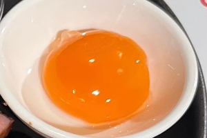 Pasteurized egg yolk