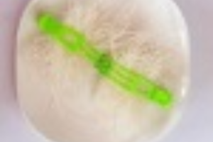 วุ้นเส้น