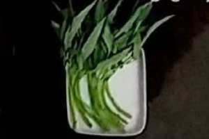 ผักบุ้ง