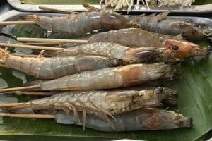 กุ้งขาว