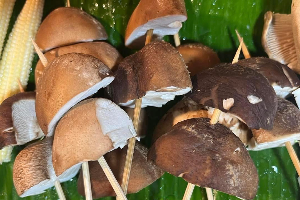 เห็ดหอม