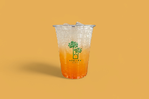 Iced Peach Soda