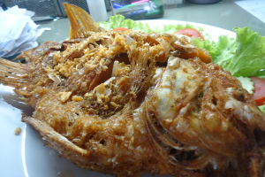 ปลาทับทิมทอดกระเทียม / ทอดน้ำปลา