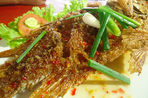 ปลาทับทิมสามรส
