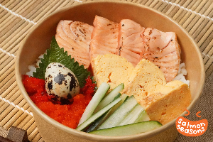 Salmon Aburi Don