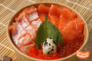 Salmon & Salmon Toro ikura Don