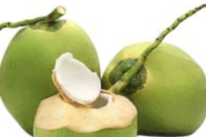 น้ำมะพร้าว (Coconut )