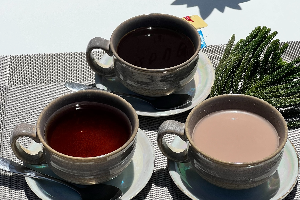 ไมโล (Milo)