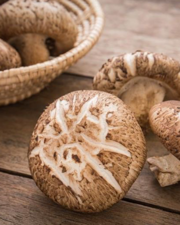 shiitake mushroom (เห็ดหอม)