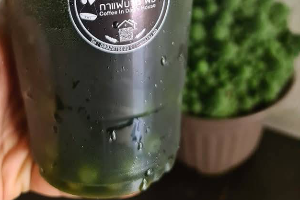 ชาเขียวป็อกแป็ก Pok Paek Green Tea
