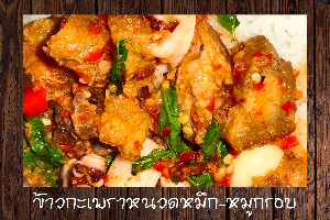 ข้าวกะเพราหนวดหมึก-หมูกรอบ