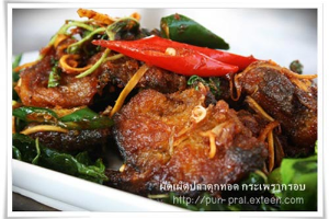 ผัดเผ็ด ปลาดุก