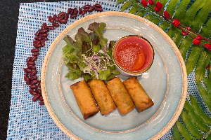 KIDS SPRING ROLLS