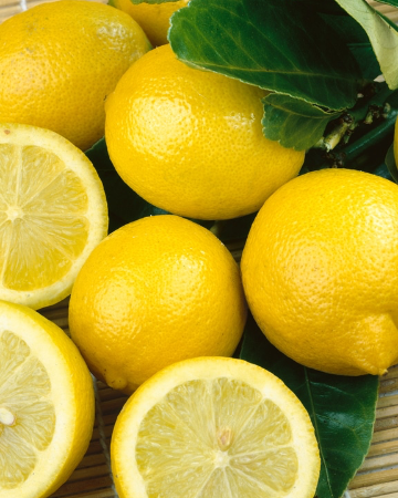 D.4 Lemon water : Iced