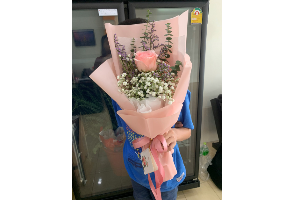 กุหลาดอกเดี่ยว ชมพู