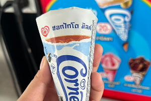 ฮอกไกโด คอนเนตโต้