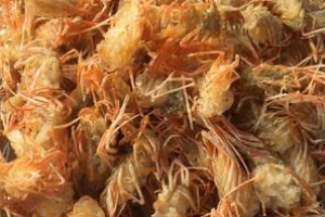 คางกุ้งทอด