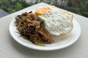 ผัดขิง (ไก่/หมู) / ကုန်းဘောင် (ကြက်/ဝက်)