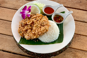 ข้าวไข่เจียวหมูสับ (Minced Pork Omelette with Rice)