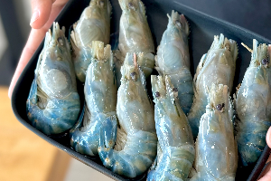 กุ้งแม่น้ำ / River prawn