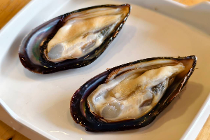 New!! หอยแมลงภู่นิวซีแลนด์ / New Zealand green mussel