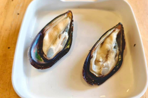 หอยแมลงภู่นิวซีแลนด์ / New Zealand green mussel