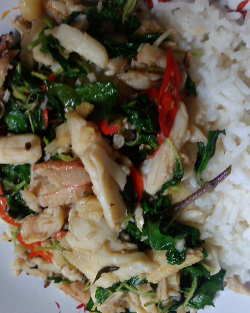 ข้าวผัดกระเพราปู