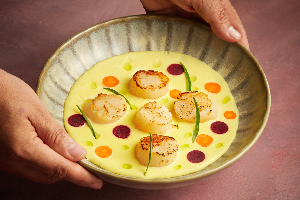 SEA SCALLOP